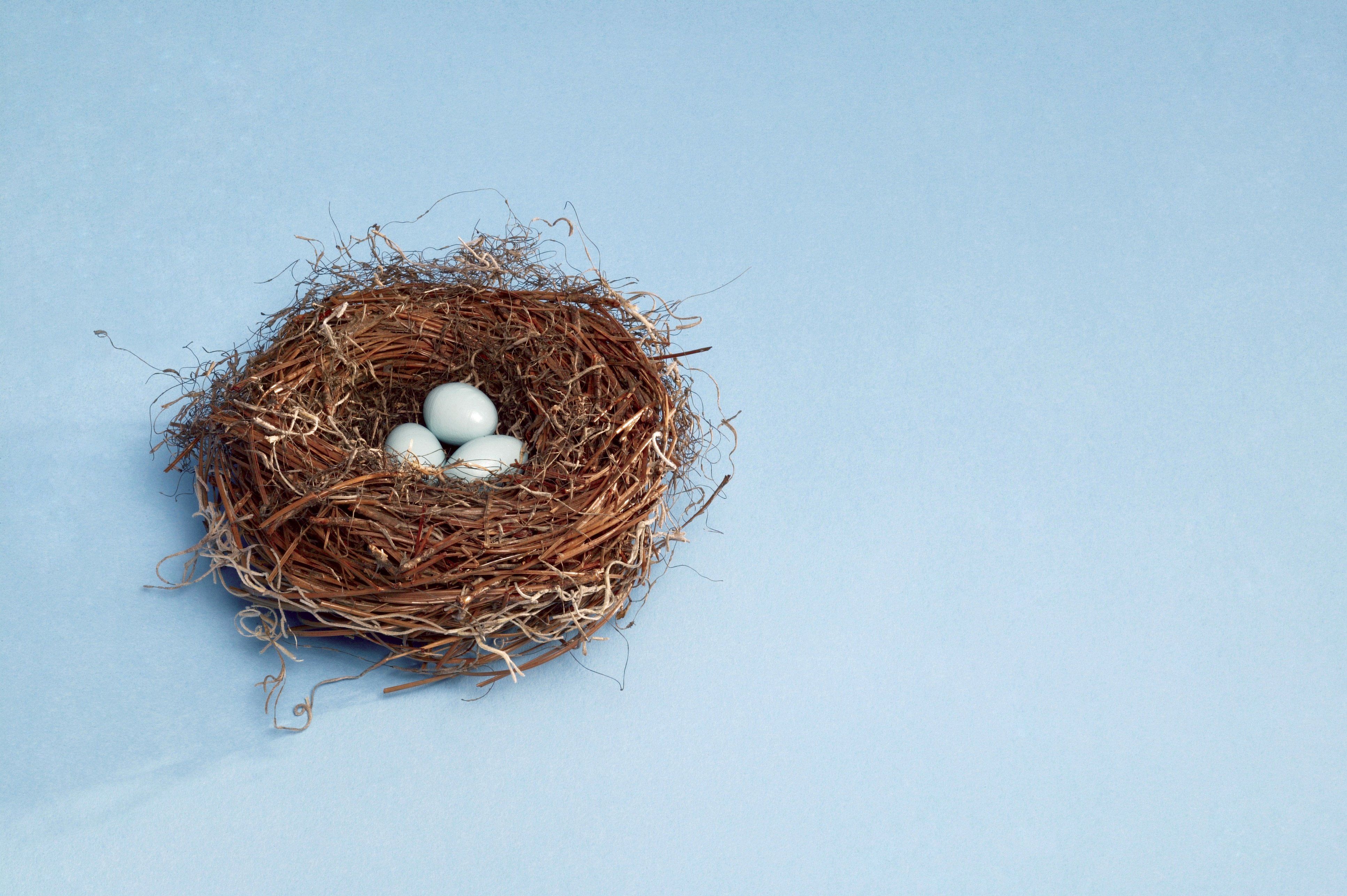 401(k) Fees: Are Traditional 401(k) Services Worth a Smaller Retirement Nest Egg?